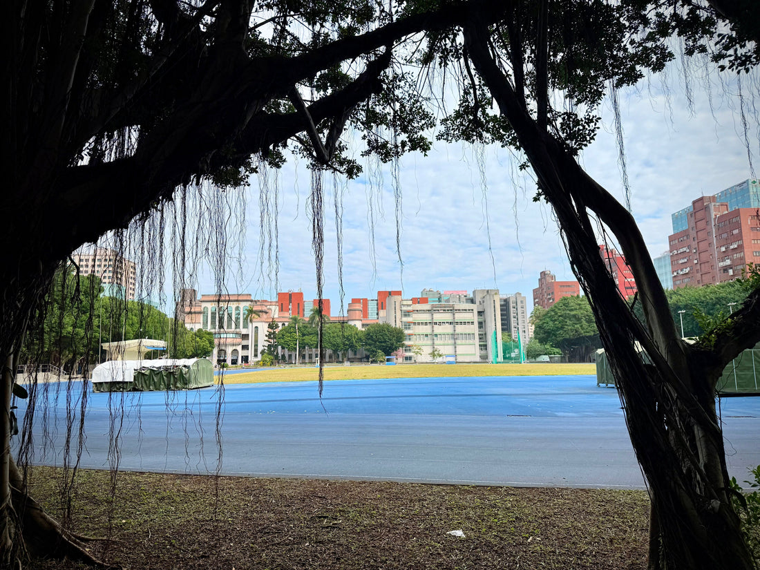 A Blue-Skied Saturday