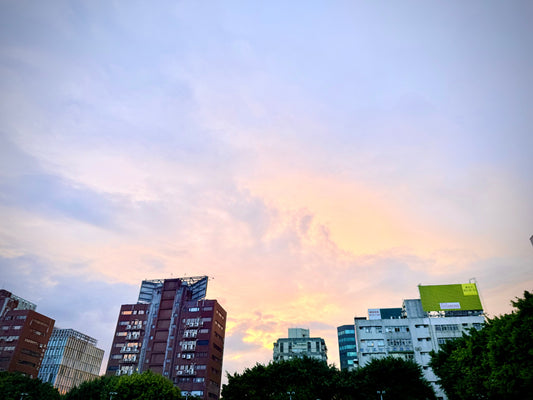 A Bright Friday After Rain